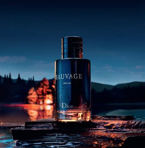 sauvage by christian dior for men|dior sauvage fragrantica.